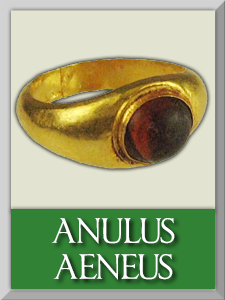 anulus1